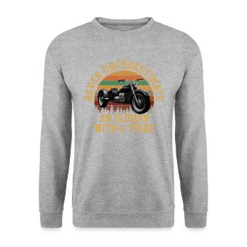 Motortrike Three Wheeled Motorcycle Triker - Unisex Pullover - Weißgrau meliert - Vorne - Alina (178cm) & Michal (187cm)