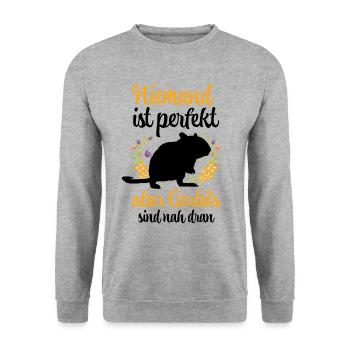 Rennmaus ist nicht perfekt Rennratte Gerbil - Unisex Pullover - Weißgrau meliert - Vorne - Alina (178cm) & Michal (187cm)