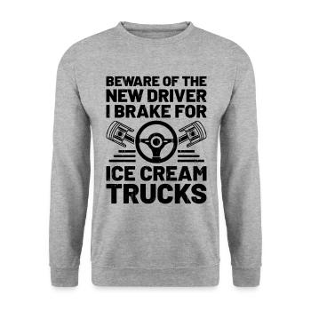 Driving License Passed New Driver Permit Driving S - Unisex Sweatshirt - salt & pepper - Front - Alina (178cm) & Michal (187cm)