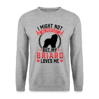 Briard is not perfect Berger de Brie - Unisex Sweatshirt - salt & pepper - Front - Alina (178cm) & Michal (187cm)