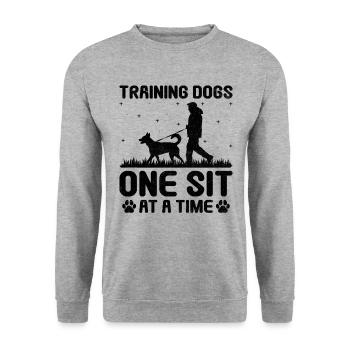 Dog Trainer Dog Training Training Dogs Pet Care Pr - Unisex Sweatshirt - salt & pepper - Front - Alina (178cm) & Michal (187cm)
