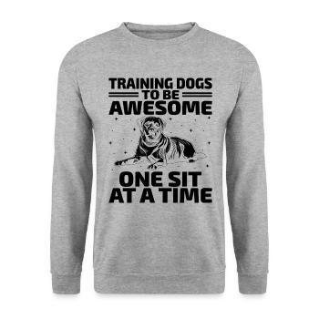 Dresseur de chiens Dressage de chiens Dressage de chiens Soins aux animaux de compagnie Pr - Sweat-shirt Unisexe - gris chiné - Devant - Alina (178cm) & Michal (187cm)