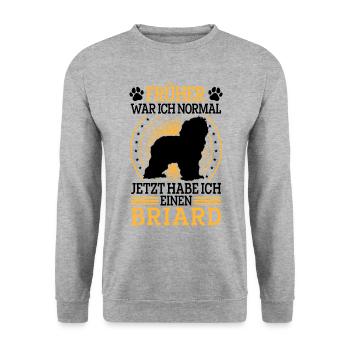 Briard was normal Berger de Brie Briard - Unisex Sweatshirt - salt & pepper - Front - Alina (178cm) & Michal (187cm)