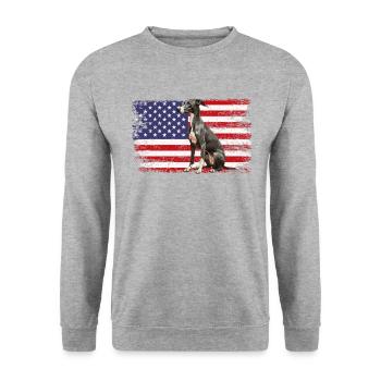 whippet dog American Flag - Unisex Pullover - Weißgrau meliert - Vorne - Alina (178cm) & Michal (187cm)