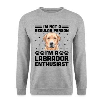 Ich bin kein normaler Mensch, ich bin ein Labrador-Enthusiast - Unisex Pullover - Weißgrau meliert - Vorne - Alina (178cm) & Michal (187cm)
