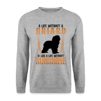La vie sans Briard Berger de Brie - Sweat-shirt Unisexe - gris chiné - Devant - Alina (178cm) & Michal (187cm)