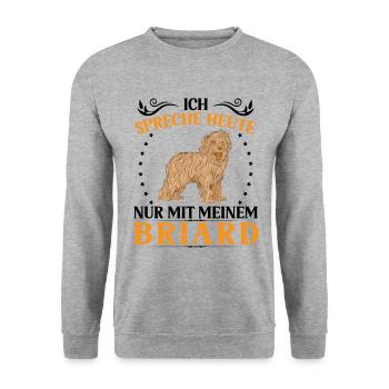 Spreche nur mit Briard Berger de Brie - Unisex Pullover - Weißgrau meliert - Vorne - Alina (178cm) & Michal (187cm)