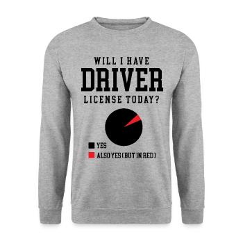 Will I Have Driver License Today Driving School - Unisex Sweatshirt - salt & pepper - Front - Alina (178cm) & Michal (187cm)