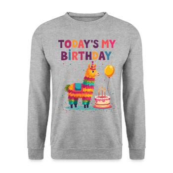 Anniversaire, Anniversaire d’enfants, Fête d’anniversaire - Sweat-shirt Unisexe - gris chiné - Devant - Alina (178cm) & Michal (187cm)