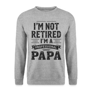 Professional Dad No Retirement Pension Pensioner - Unisex Sweatshirt - salt & pepper - Front - Alina (178cm) & Michal (187cm)
