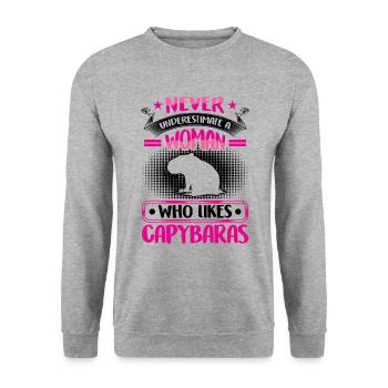Le capybara sous-estime le capybara - Sweat-shirt Unisexe - gris chiné - Devant - Alina (178cm) & Michal (187cm)