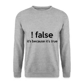 False It's Funny Because It's True Programmer Comp - Unisex Pullover - Weißgrau meliert - Vorne - Alina (178cm) & Michal (187cm)