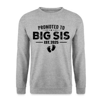 Promoted To Big Sis 2025 Funny For New Big Sister - Sweat-shirt Unisexe - gris chiné - Devant - Alina (178cm) & Michal (187cm)