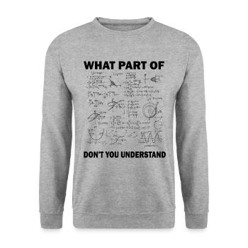 Quelle partie de ne comprenez-vous pas un professeur de mathématiques amusant - Sweat-shirt Unisexe - gris chiné - Devant - Alina (178cm) & Michal (187cm)