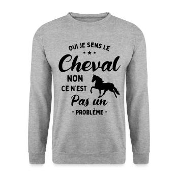 Oui Je Sens Le Cheval non ce n est pas un problème - Sweat-shirt Unisexe - gris chiné - Devant - Alina (178cm) & Michal (187cm)