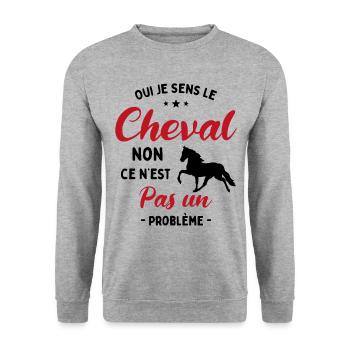 Oui Je Sens Le Cheval non ce n est pas un problème - Sweat-shirt Unisexe - gris chiné - Devant - Alina (178cm) & Michal (187cm)