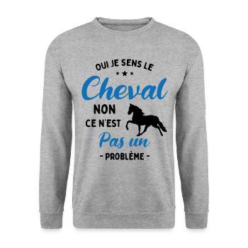 Oui Je Sens Le Cheval non ce n est pas un problème - Sweat-shirt Unisexe - gris chiné - Devant - Alina (178cm) & Michal (187cm)