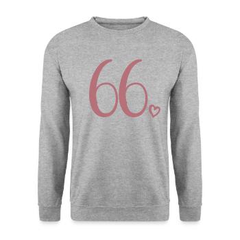 Süße Nummer 66, 66 Jahre alt, 66. Geburtstag Geschenk - Unisex Pullover - Weißgrau meliert - Vorne - Alina (178cm) & Michal (187cm)