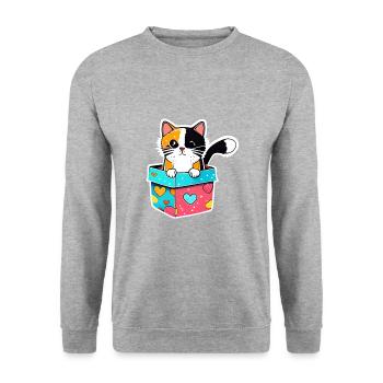 Un chat orange dans une boîte, avec son - Sweat-shirt Unisexe - gris chiné - Devant - Alina (178cm) & Michal (187cm)