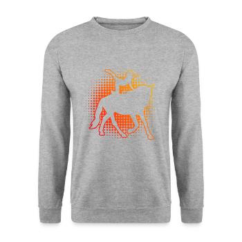 Artistic gymnastics on horseback balance exercises - Unisex Sweatshirt - salt & pepper - Front - Alina (178cm) & Michal (187cm)