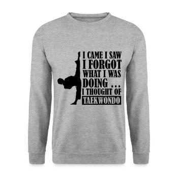 I thought of Taekwondo - Unisex Pullover - Weißgrau meliert - Vorne - Alina (178cm) & Michal (187cm)