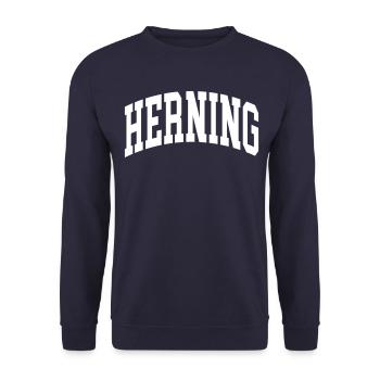 Herning - Unisex Sweatshirt - navy - Front - Alina (178cm) & Michal (187cm)