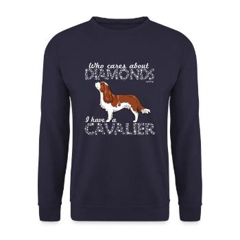 Unbekümmerte Diamanten 2 - Unisex Pullover - Navy - Vorne - Alina (178cm) & Michal (187cm)
