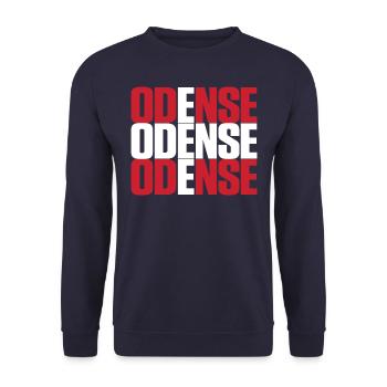 Odense Denmark Flag - Unisex Sweatshirt - navy - Front - Alina (178cm) & Michal (187cm)