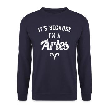 Sternzeichen Widder - Unisex Pullover - Navy - Vorne - Alina (178cm) & Michal (187cm)