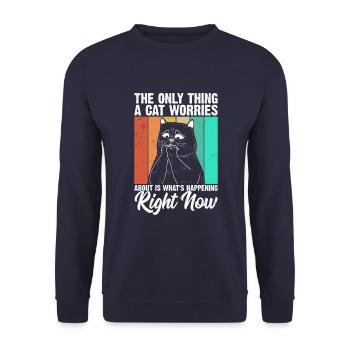 Das Einzige, Worüber Sich Eine Katze Sorgen Macht - Unisex Pullover - Navy - Vorne - Alina (178cm) & Michal (187cm)