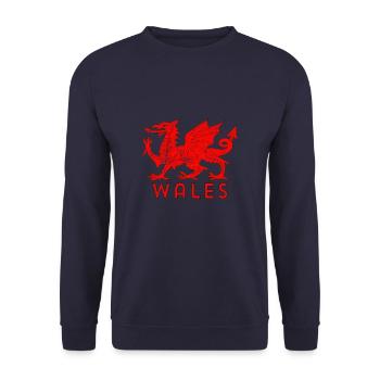 Wales Cymru-Flaggen-Produkt Waliser-Fußball-Fußball - Unisex Pullover - Navy - Vorne - Alina (178cm) & Michal (187cm)