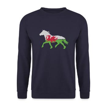Welsh c Flagge - Unisex Pullover - Navy - Vorne - Alina (178cm) & Michal (187cm)