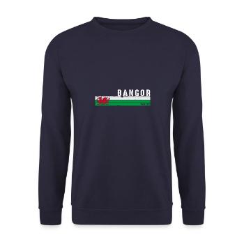 Bangor Wales Heritage Coastal Charm Souvenir - Unisex Sweatshirt - navy - Front - Alina (178cm) & Michal (187cm)