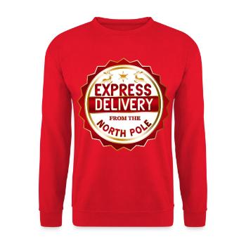North Pole Express-Lieferung - Unisex Pullover - Rot - Vorne - Alina (178cm) & Michal (187cm)