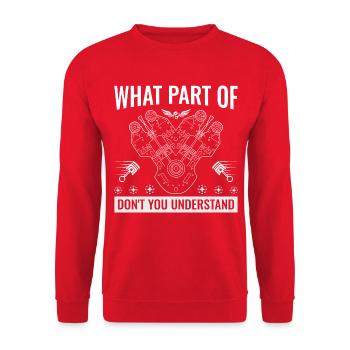 What Part of Don't You Understand Engine Blueprint - Unisex Sweatshirt - red - Front - Alina (178cm) & Michal (187cm)