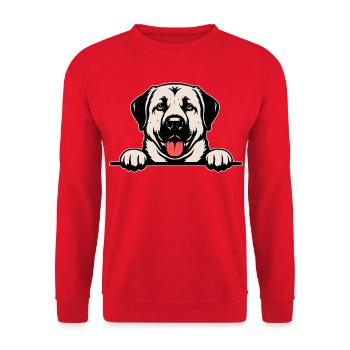 Kangal Namensschild farbig - Unisex Pullover - Rot - Vorne - Alina (178cm) & Michal (187cm)