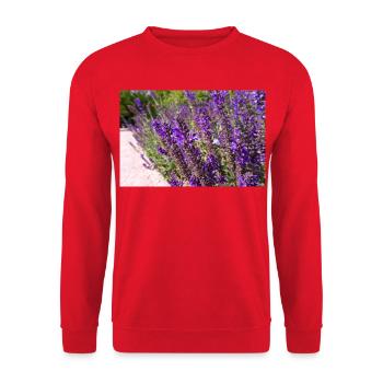 Vibrant Purple Salvia Flowers - Unisex Pullover - Rot - Vorne - Alina (178cm) & Michal (187cm)