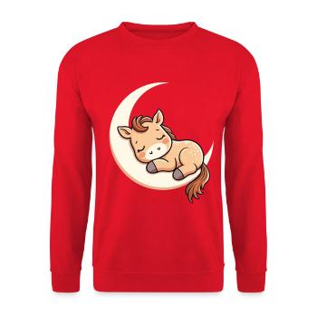 Rêve câlin du Moon Pony - Sweat-shirt Unisexe - rouge - Devant - Alina (178cm) & Michal (187cm)