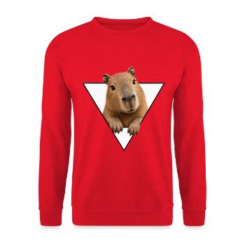 Kapybara in the Triangle - Unisex Sweatshirt - red - Front - Alina (178cm) & Michal (187cm)