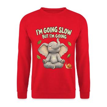 I'm Going Slow But I'm Going – Motivation - Unisex Pullover - Rot - Vorne - Alina (178cm) & Michal (187cm)