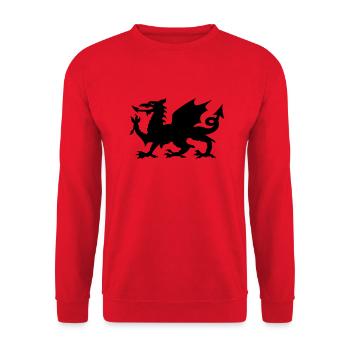 wales - Unisex Sweatshirt - red - Front - Alina (178cm) & Michal (187cm)