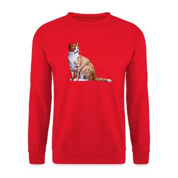 Chat Chat Chat Cat Cats Amour de chat - Sweat-shirt Unisexe - rouge - Devant - Alina (178cm) & Michal (187cm)