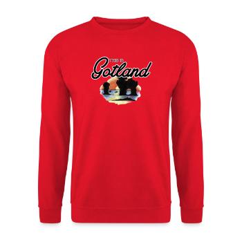 Das ist Gotland - Rauk - Unisex Pullover - Rot - Vorne - Alina (178cm) & Michal (187cm)