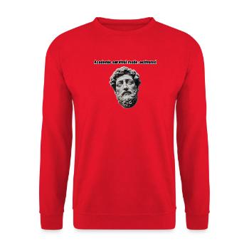 Akademischer Überlebensmodus: aktiviert - Unisex Pullover - Rot - Vorne - Alina (178cm) & Michal (187cm)