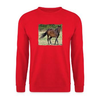 Braunes Pferd beim Spaziergang auf einer Wiese - Unisex Pullover - Rot - Vorne - Alina (178cm) & Michal (187cm)