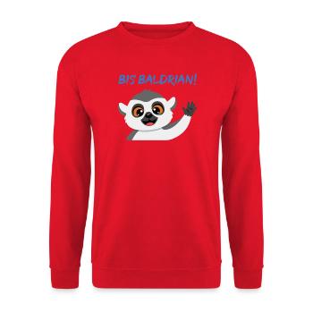 Panda Gruß Mascot Bis Baldrian! - Unisex Pullover - Rot - Vorne - Alina (178cm) & Michal (187cm)
