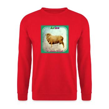 Aries - Unisex Sweatshirt - red - Front - Alina (178cm) & Michal (187cm)
