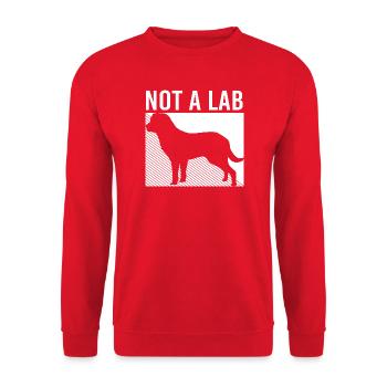 Chesapeake Bay Retriever - Unisex Pullover - Rot - Vorne - Alina (178cm) & Michal (187cm)