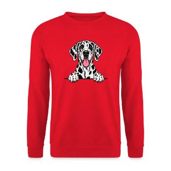 Dalmatiner - Unisex Pullover - Rot - Vorne - Alina (178cm) & Michal (187cm)