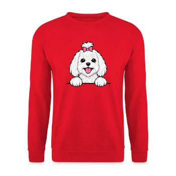 Malteser - Unisex Pullover - Rot - Vorne - Alina (178cm) & Michal (187cm)